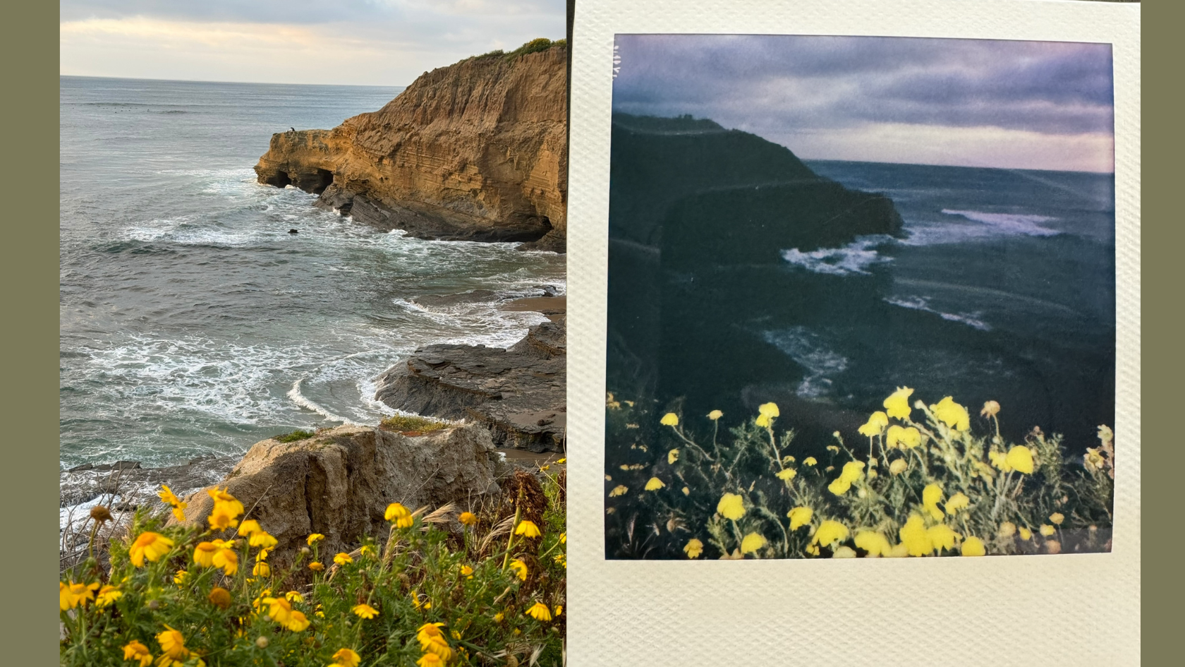 iPhone vs Polaroid: In-Depth Comparison