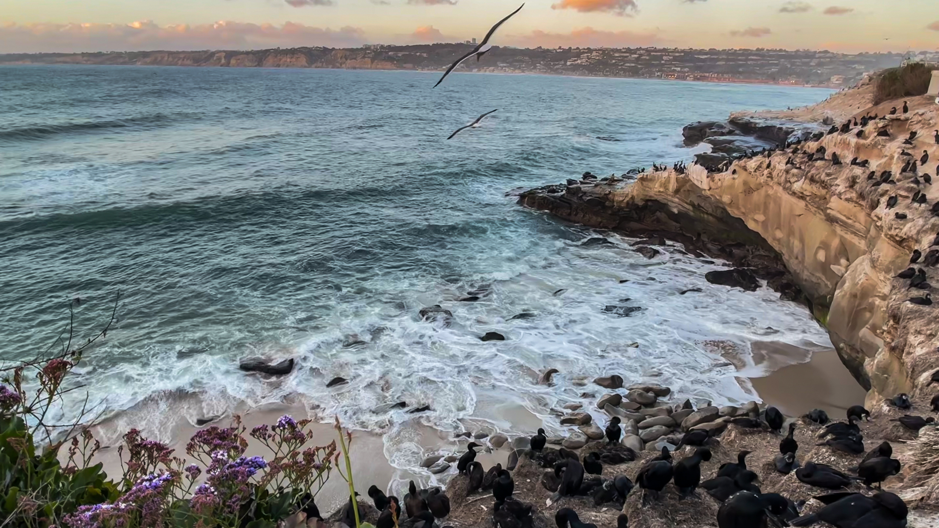 iPhone 16e Camera Review: Capturing San Diego with SANDMARC Lenses