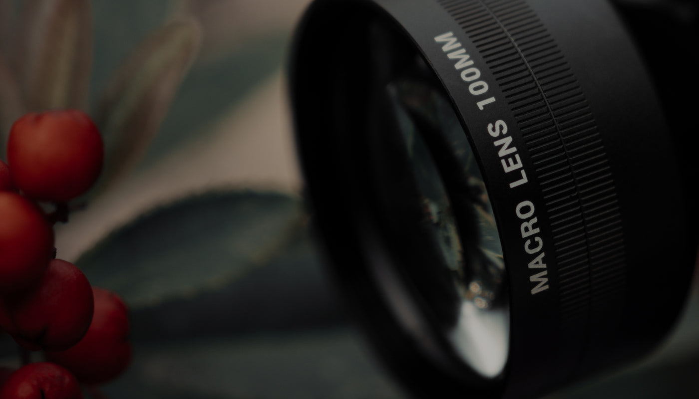 Macro Lens Edition