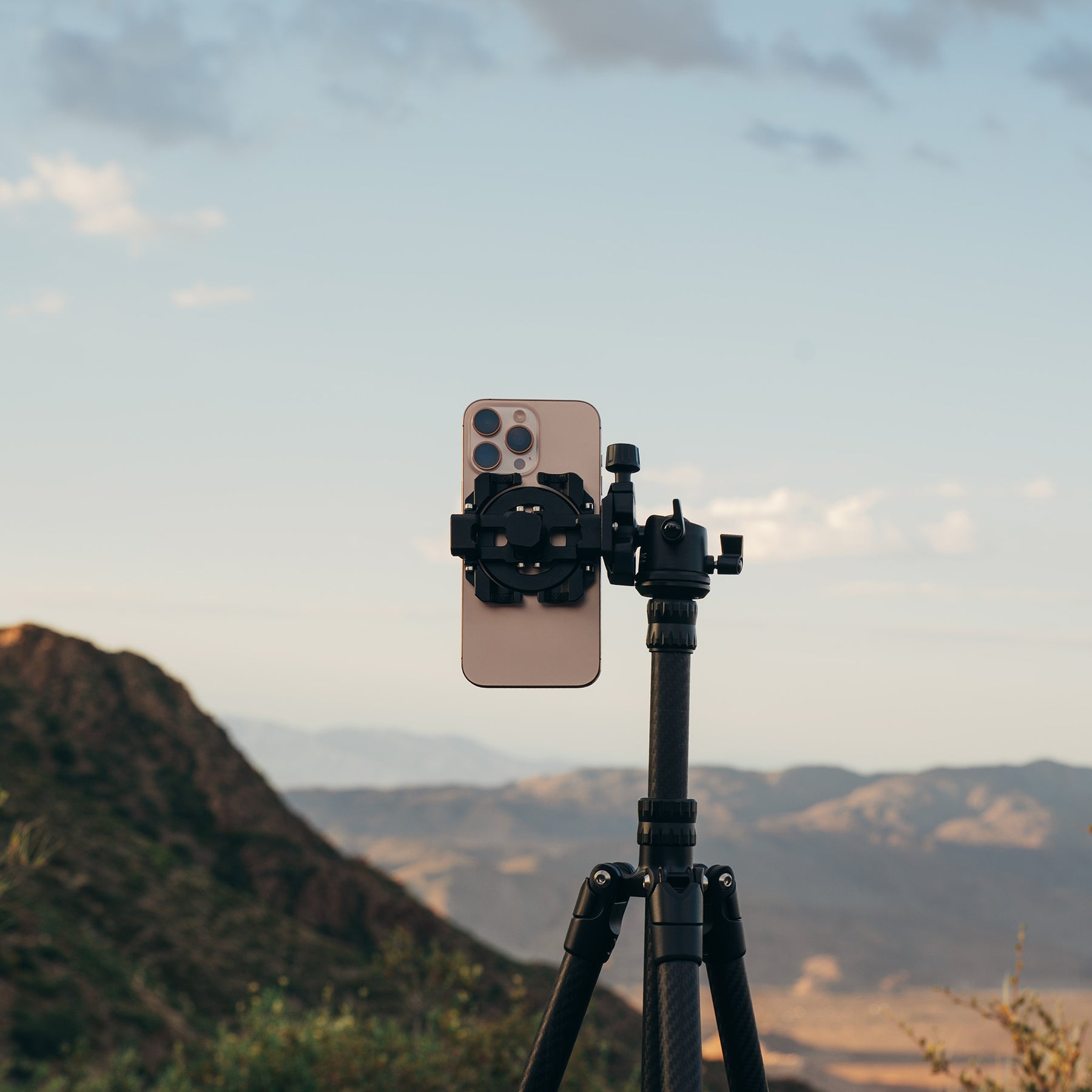Hybrid Mount