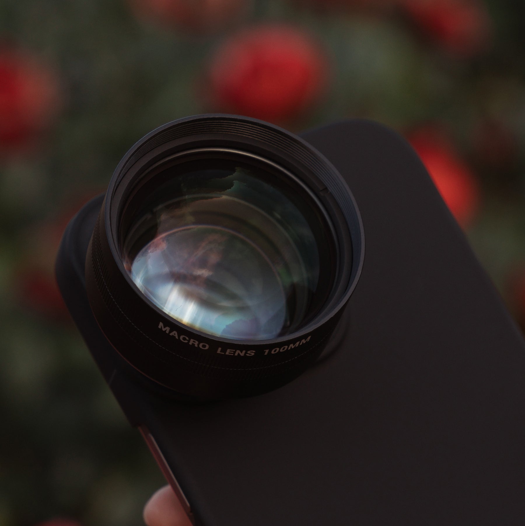 Macro 100mm Lens