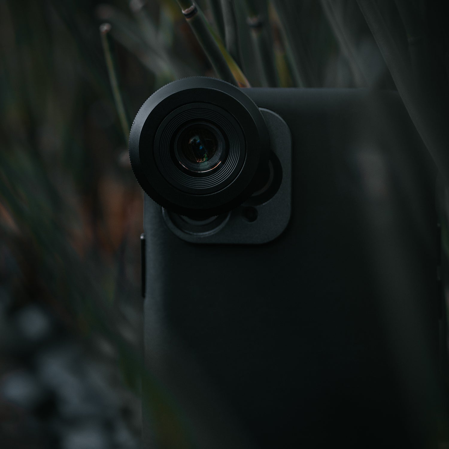 Macro Lens Edition - iPhone 11 Pro