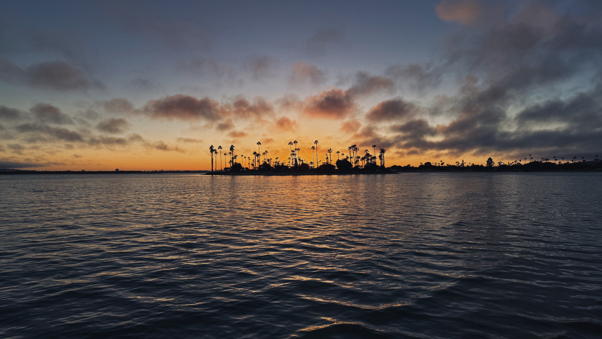 Top 5 Travel Destinations for Sports, Music & Culture Lovers in the U.S.