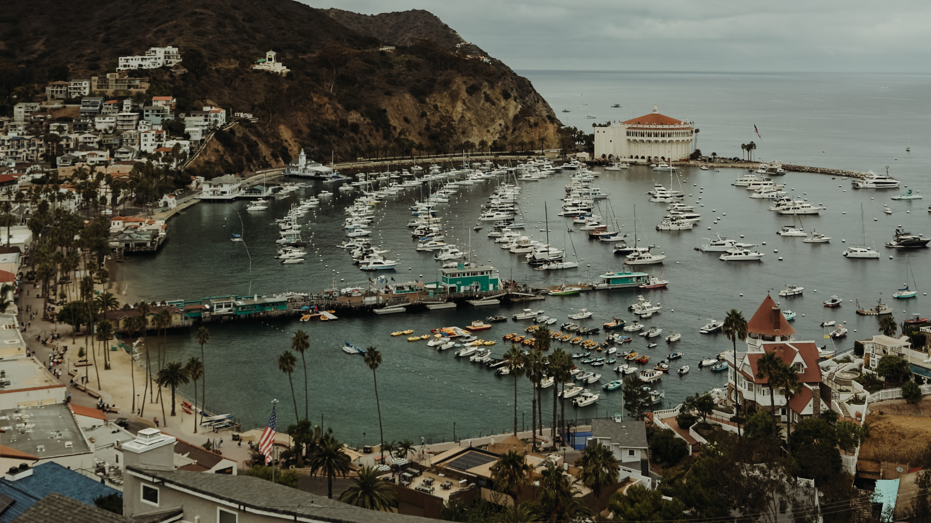 Catalina Island Adventures: Your Essential Travel Guide