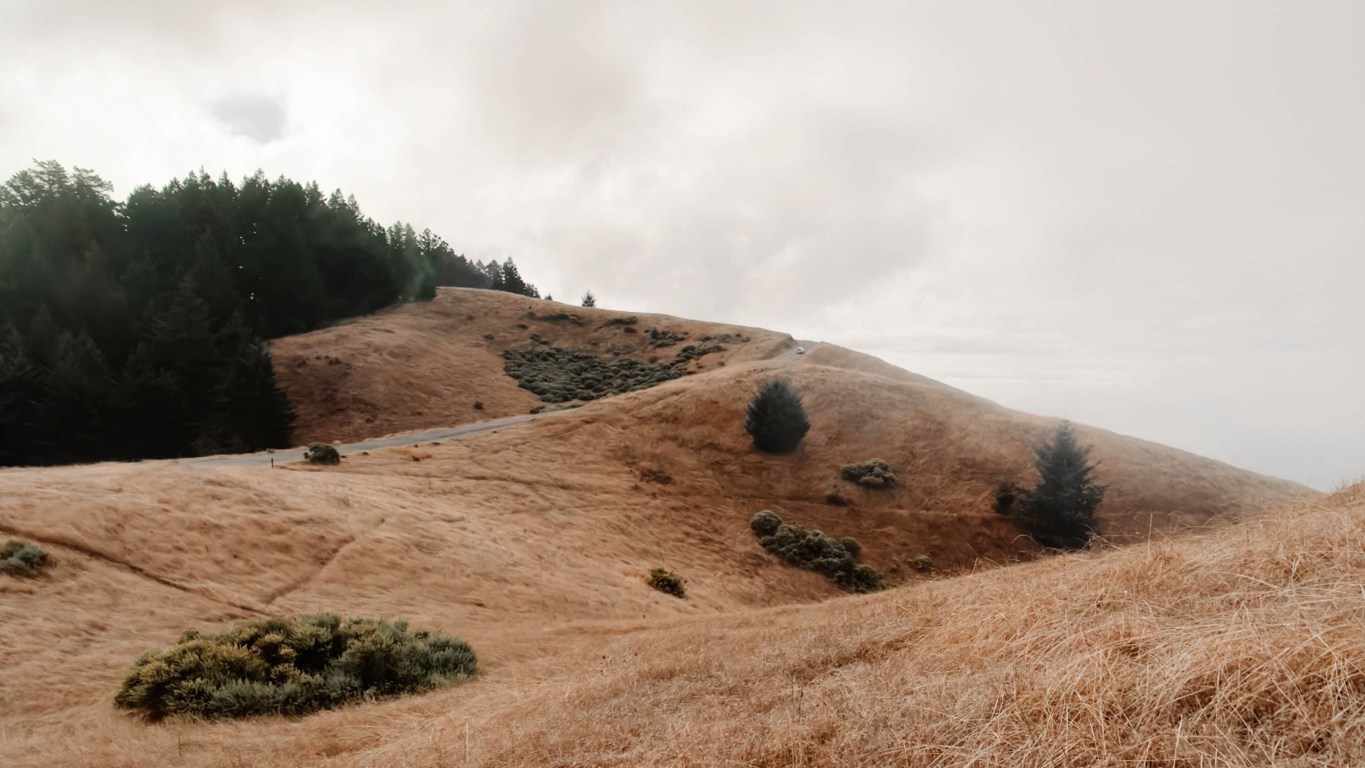 5 Biking Tour Groups to Consider for Your Next Adventure