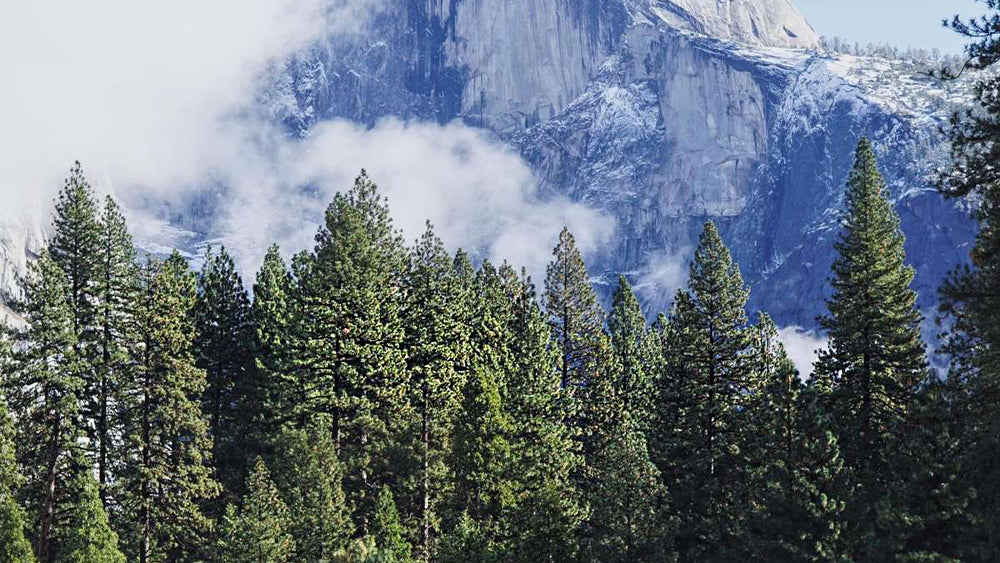 5 Tips for Hiking Yosemite