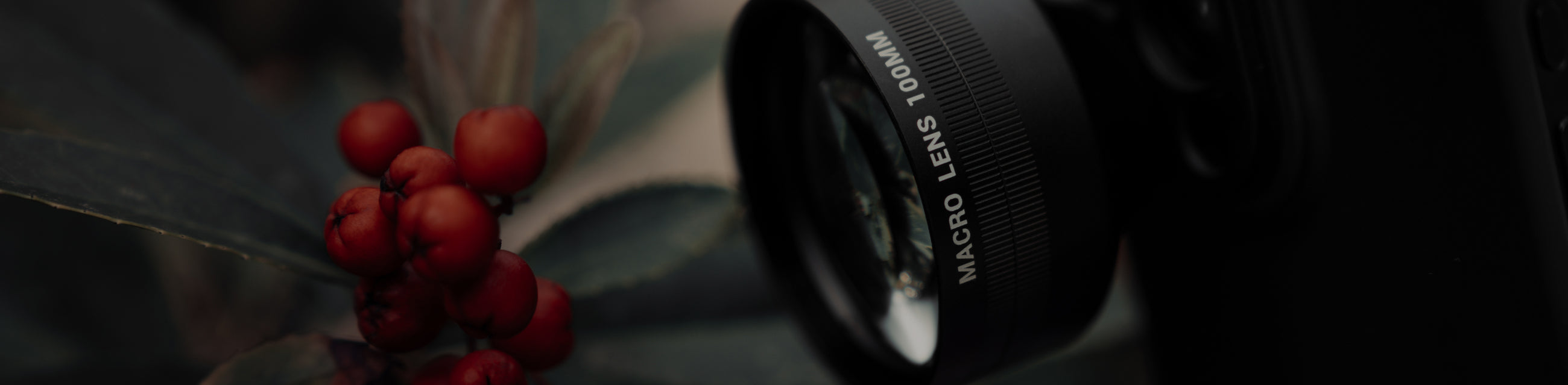 Macro Lens Edition