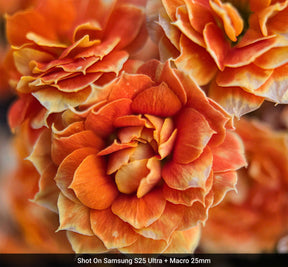 Macro Lens Edition - Samsung S25 Ultra