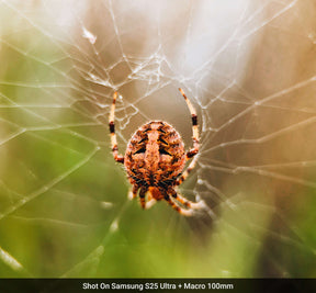 Macro Lens Edition - Samsung S25 Ultra