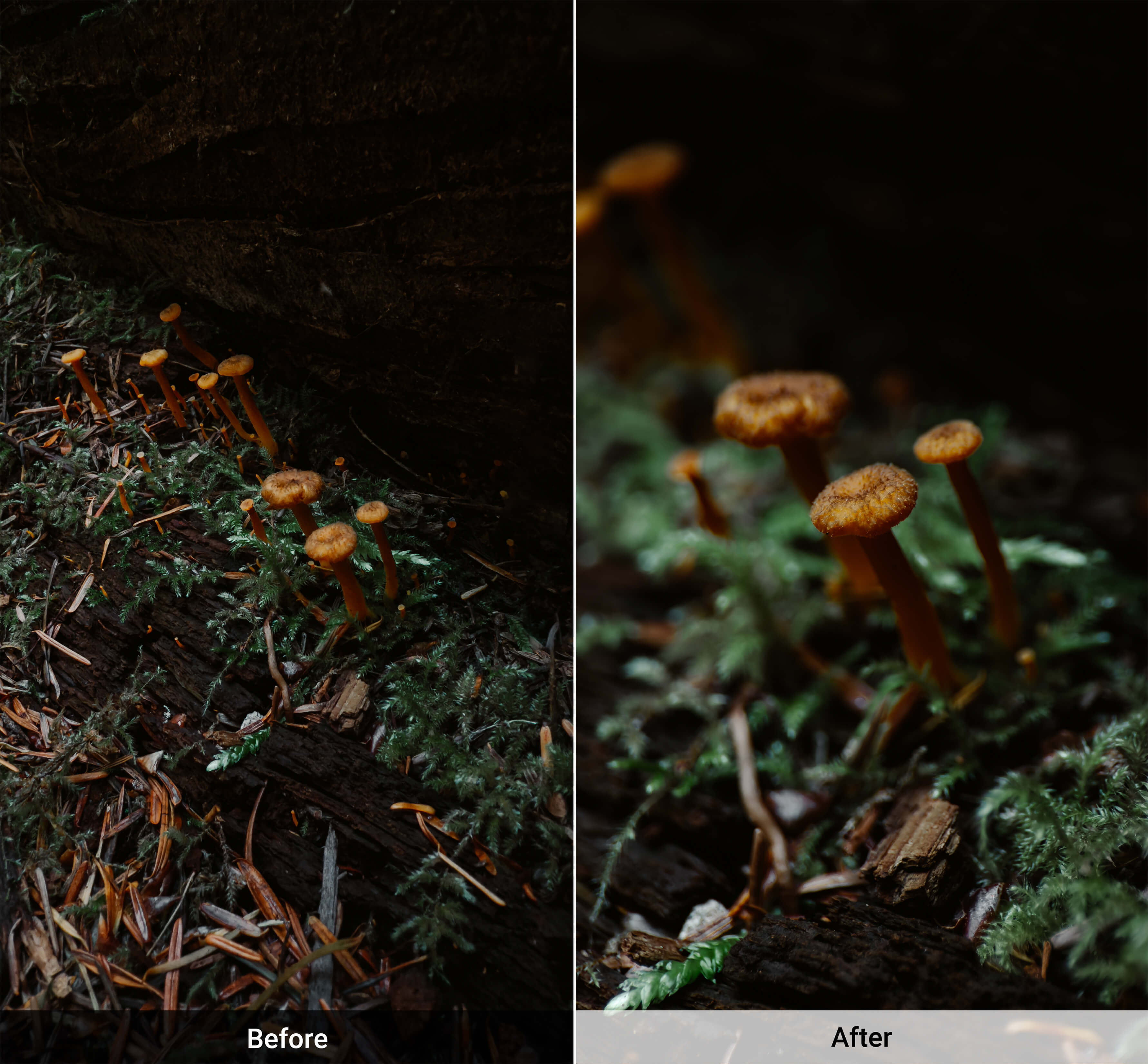 Macro Lens Edition - iPhone - SANDMARC #type_macro 100mm