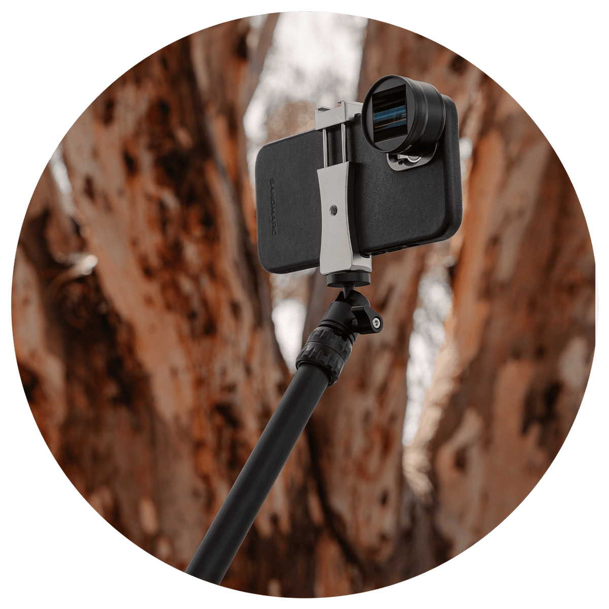 pole - film