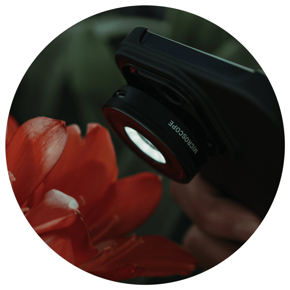 Microscope Lens