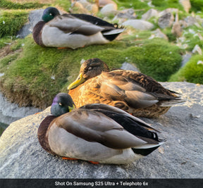 Telephoto 6x Lens Edition - Samsung S25 Ultra