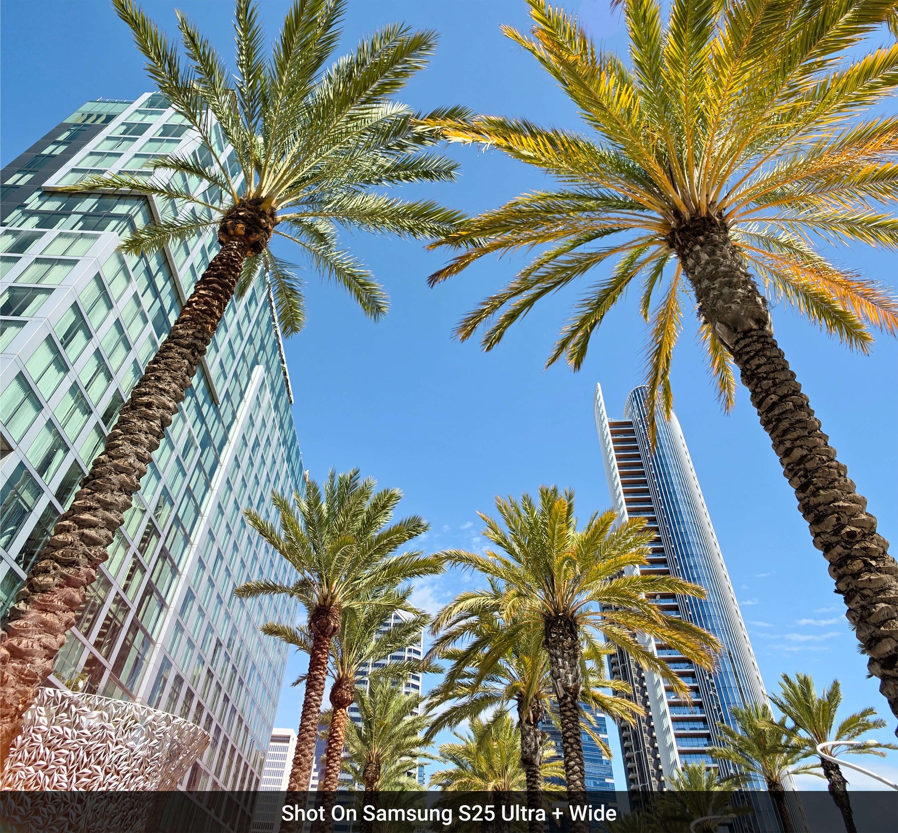 Wide Lens Edition - Samsung S25 Ultra