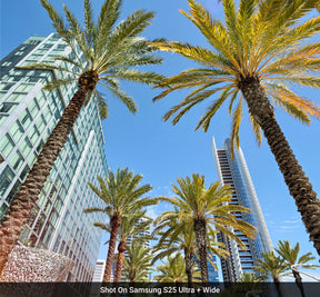 Wide Lens Edition - Samsung S25 Ultra