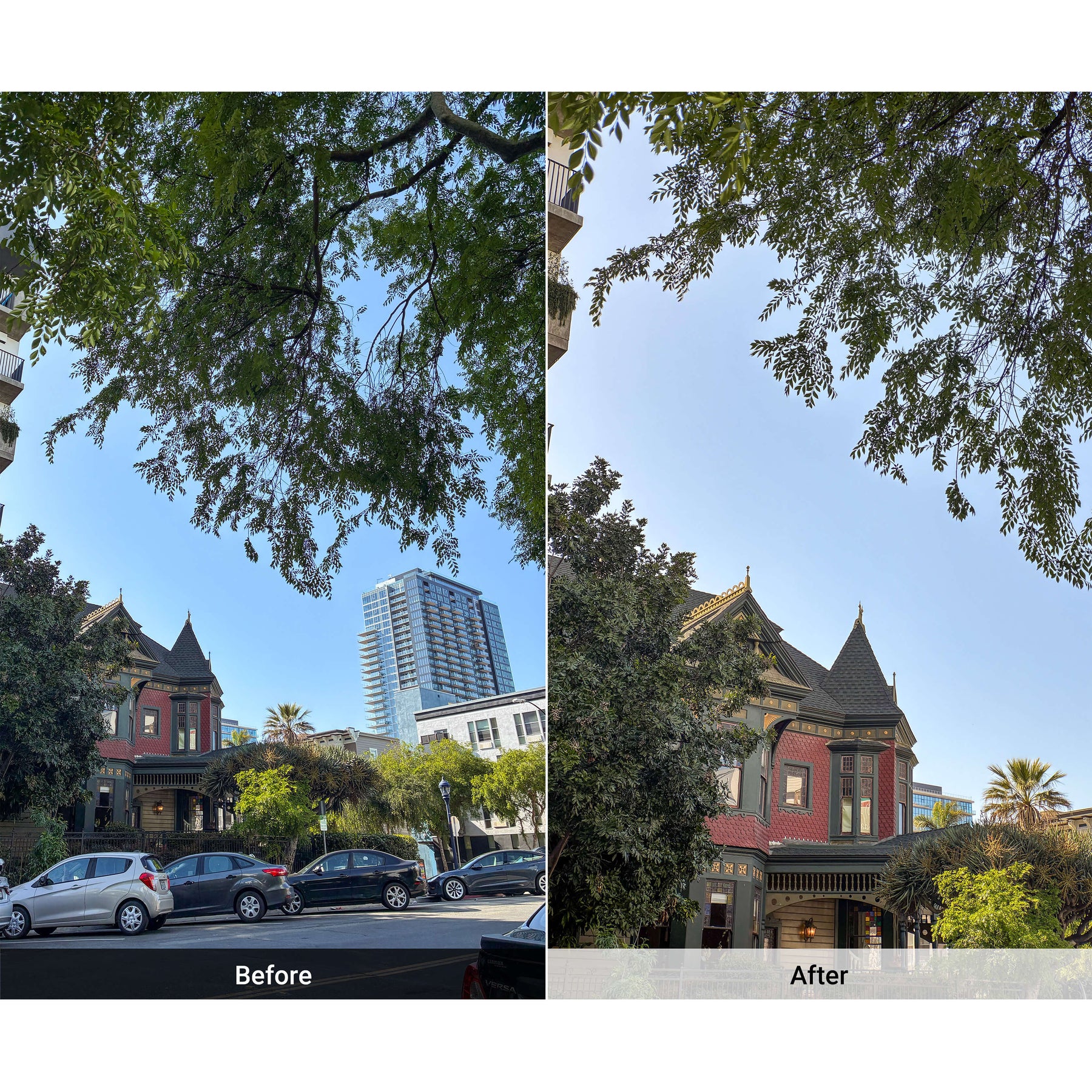 Telephoto 2x Lens Edition - iPhone 16e