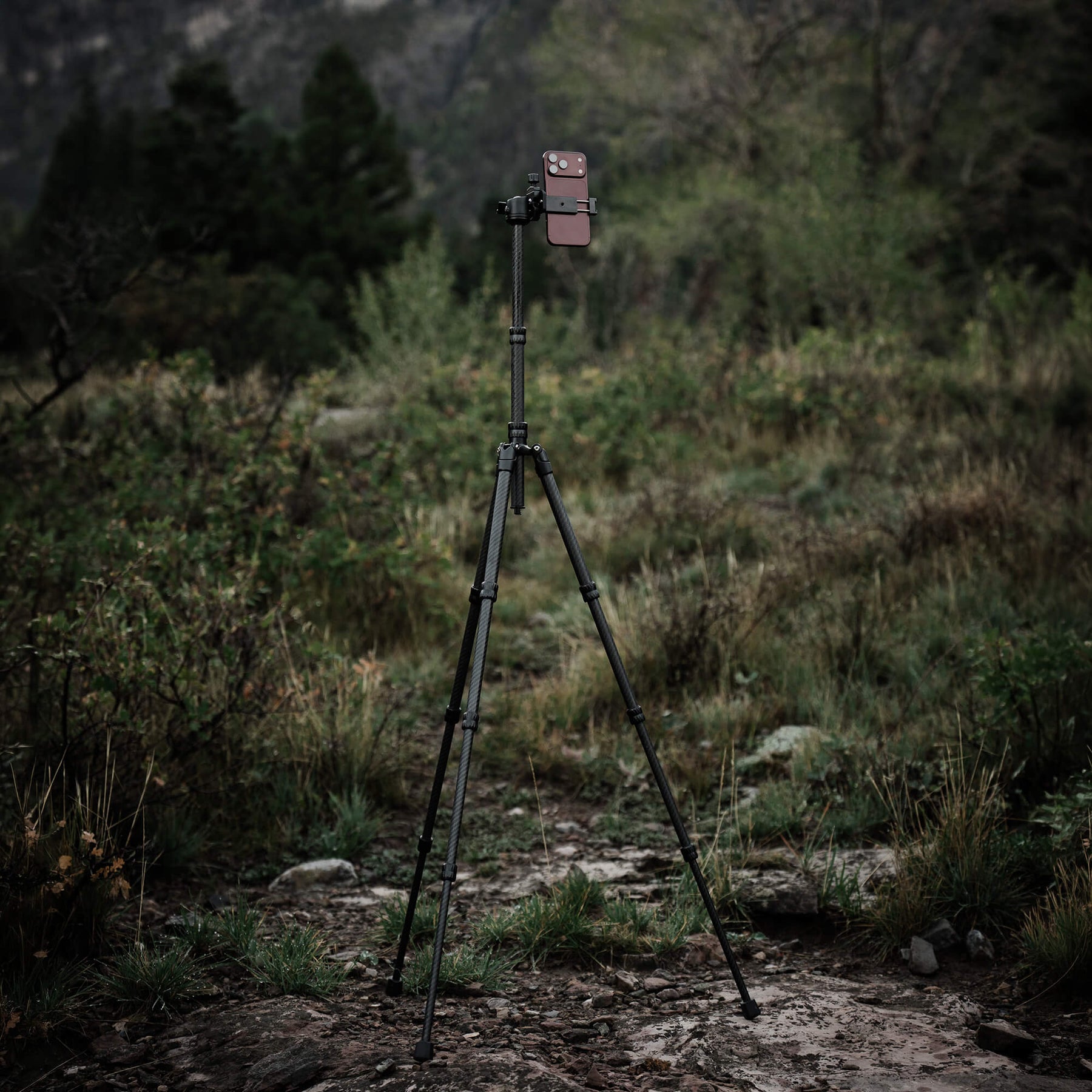 Tripod - iPhone