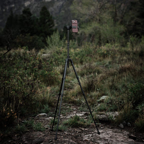 Tripod - iPhone