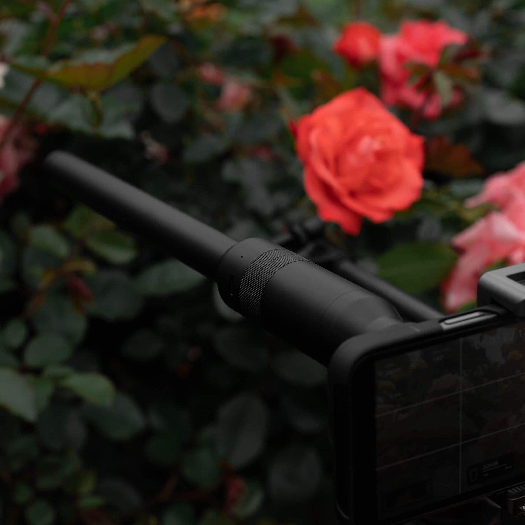 SANDMARC iPhone Duo Probe Lens mounted horizontally on a SANDMARC Creator Grip, pointing toward roses