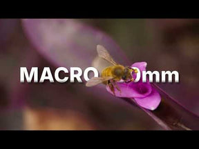 Macro Lens Edition - iPhone 18 Pro